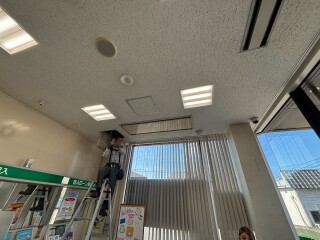てんうめ１